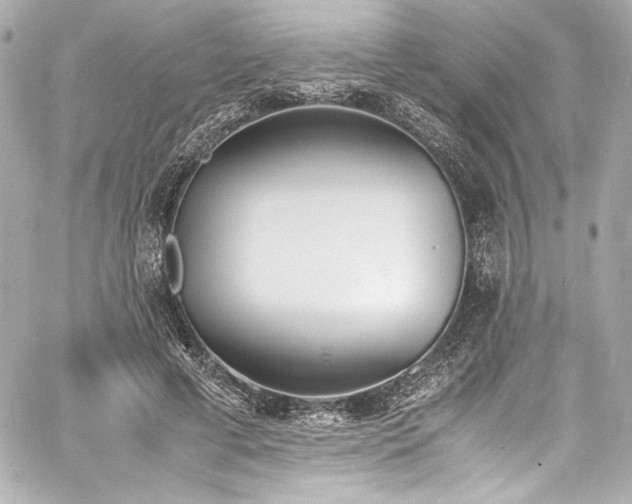 X0000060800593200511101421