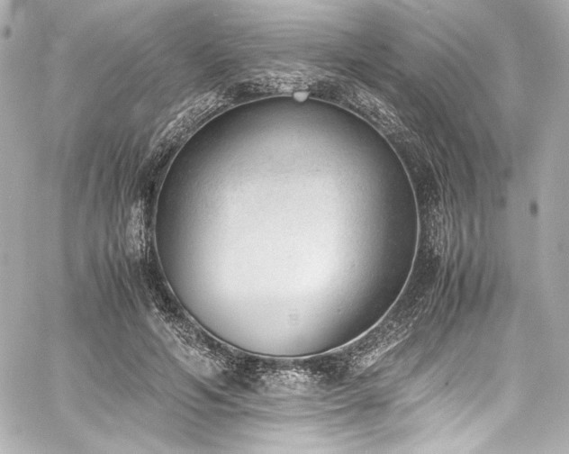 X0000060800594200511101421