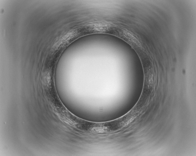 X0000060800595200511101421