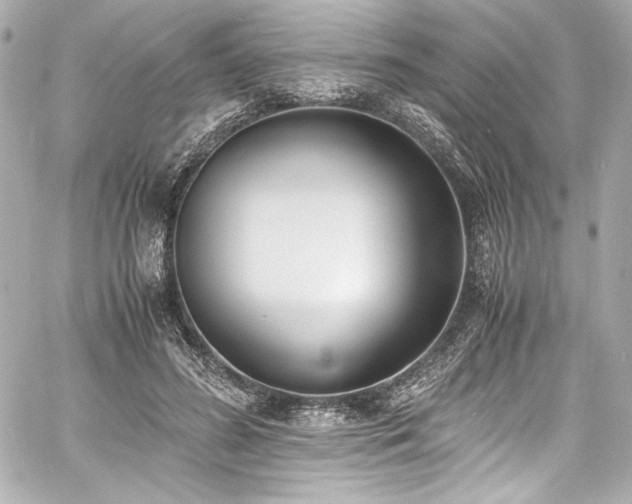 X0000060800596200511101421