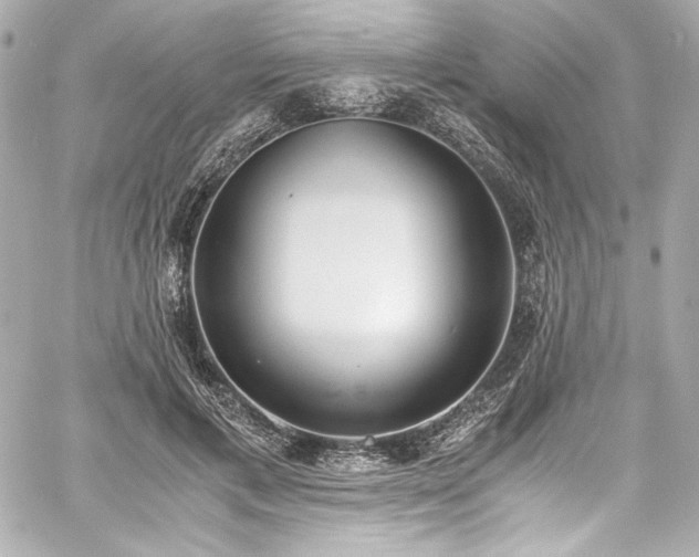 X0000060800597200511101421