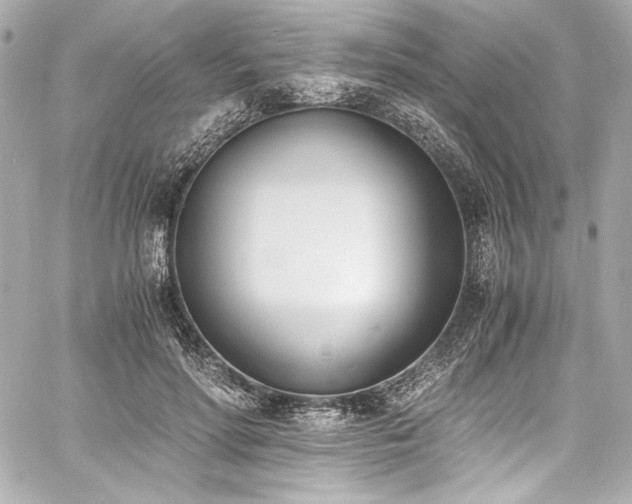 X0000060800598200511101421