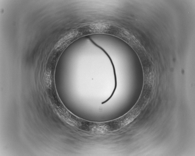 X0000060800599200511101421