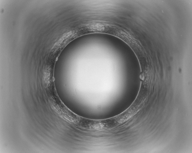 X0000060800600200511101421