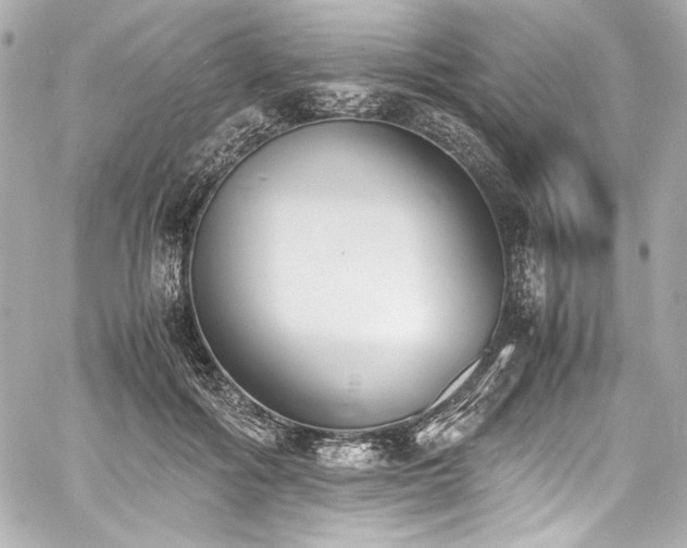 X0000060800602200511101421