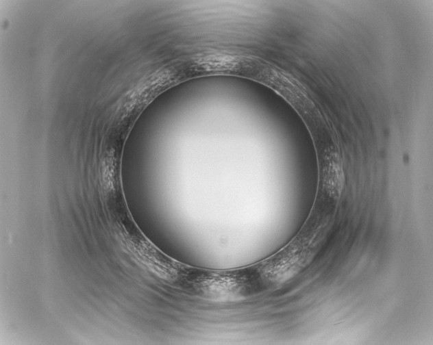 X0000060800604200511101421