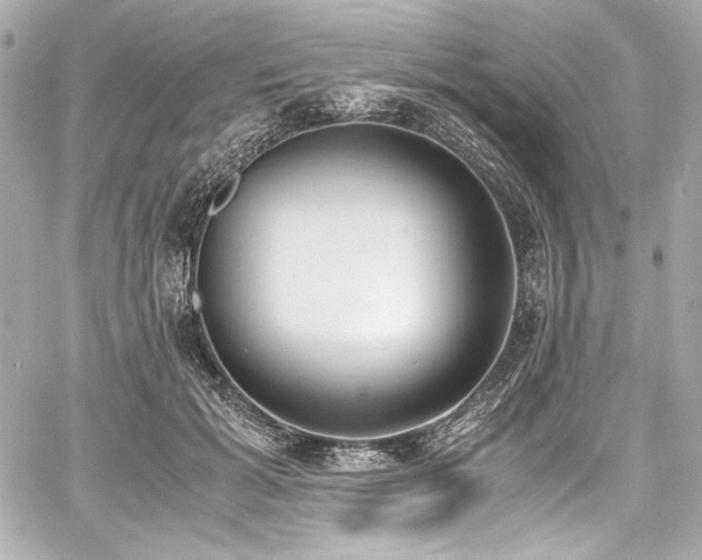 X0000060800605200511101421