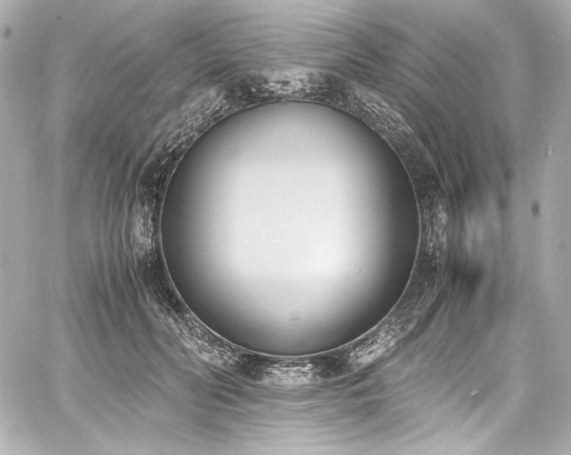 X0000060800606200511101421