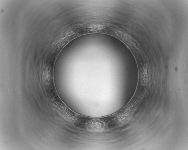 X0000060800608200511101421