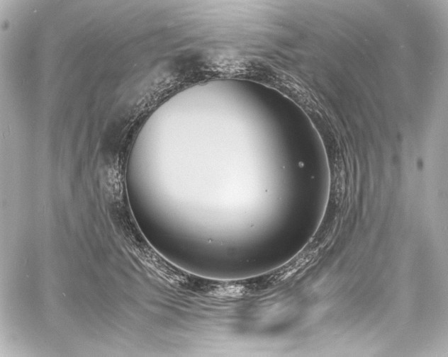 X0000060800609200511101421