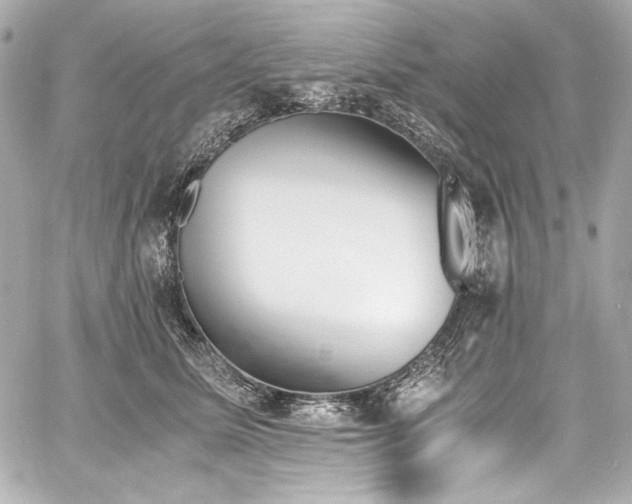 X0000060800611200511101421