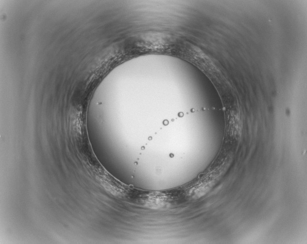 X0000060800612200511101421