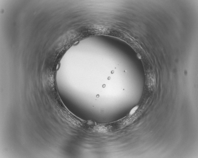 X0000060800613200511101421