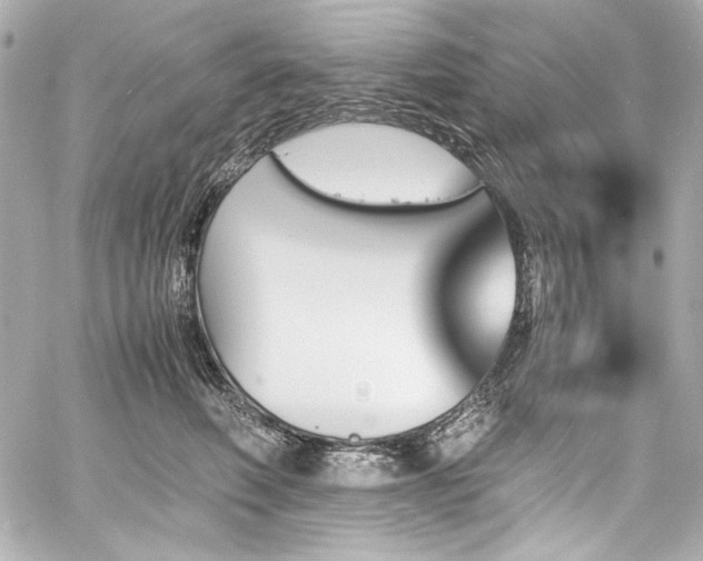 X0000060800614200511101421