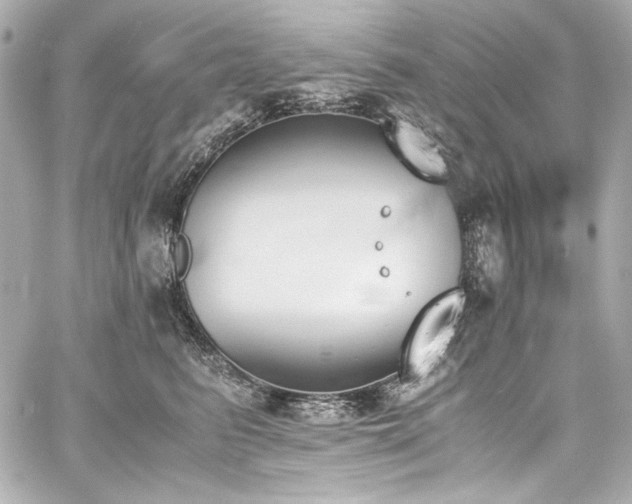 X0000060800615200511101421