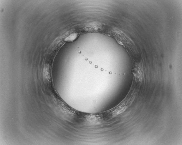 X0000060800616200511101421