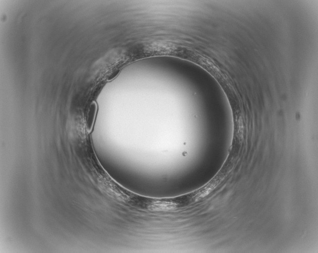 X0000060800617200511101421