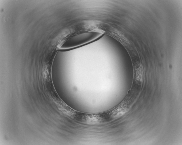 X0000060800618200511101421