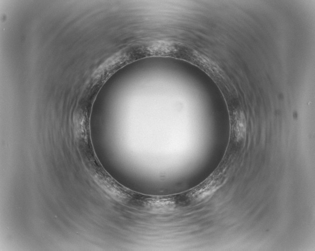 X0000060800619200511101421