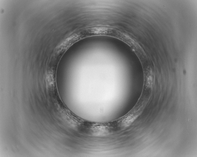 X0000060800620200511101421