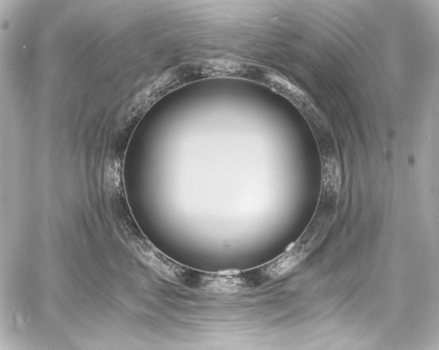 X0000060800621200511101421