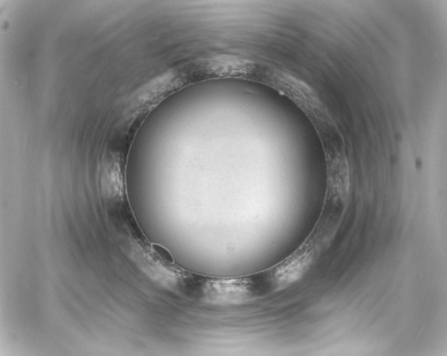 X0000060800622200511101421