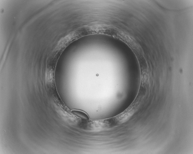 X0000060800623200511101421