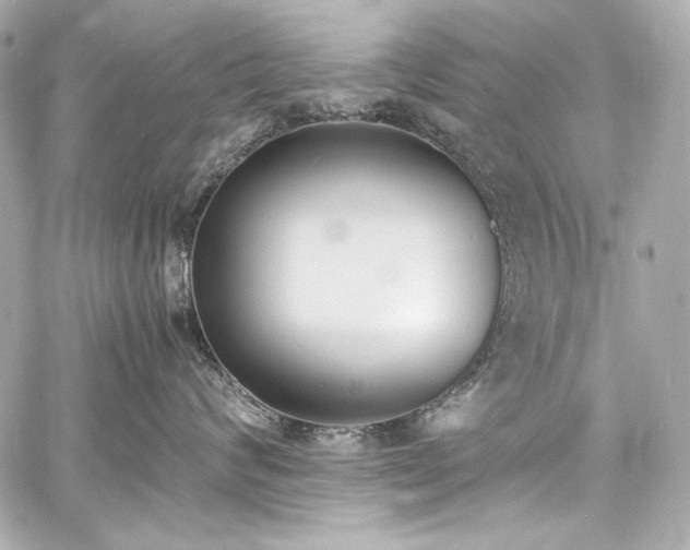 X0000060800624200511101420