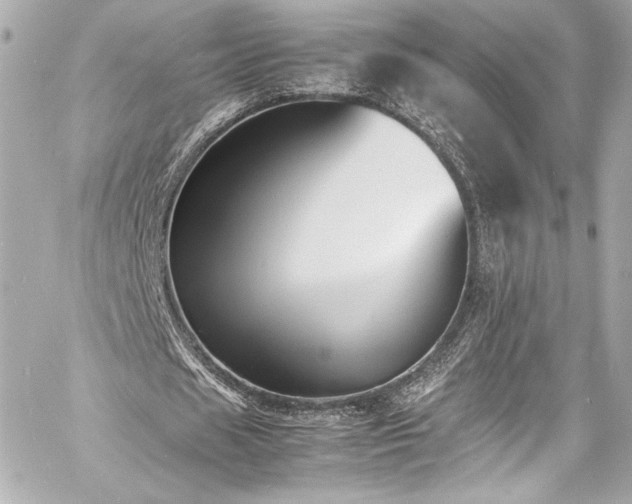 X0000060800625200511101420