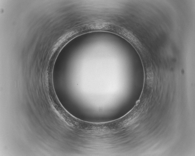 X0000060800626200511101420