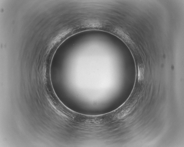 X0000060800627200511101420