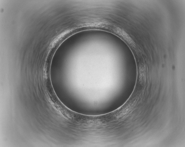 X0000060800628200511101420