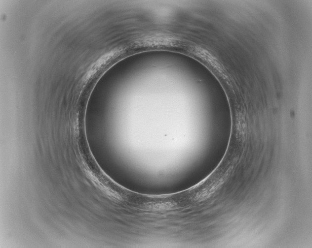 X0000060800629200511101420