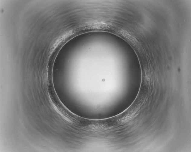 X0000060800630200511101420