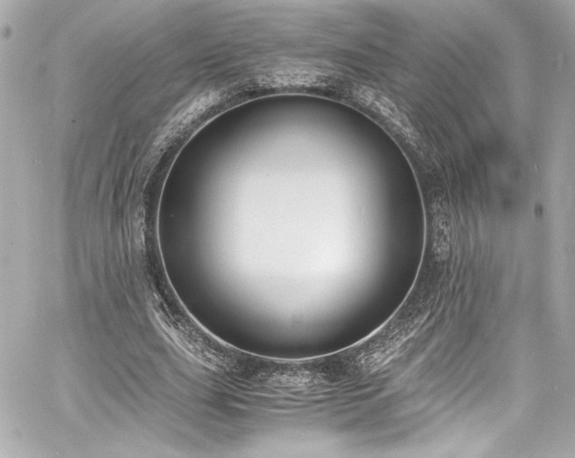 X0000060800631200511101420