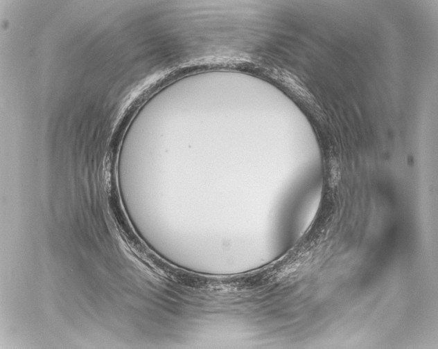 X0000060800632200511101420