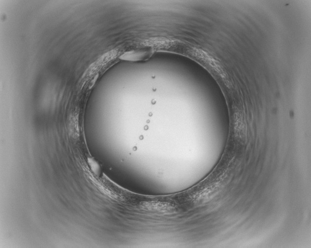 X0000060800633200511101420