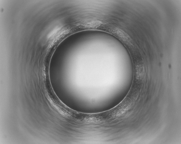 X0000060800634200511101420