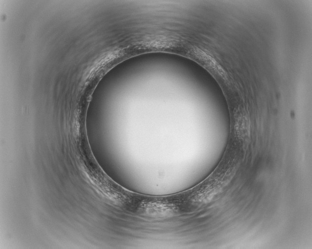 X0000060800635200511101420