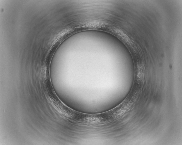 X0000060800636200511101420