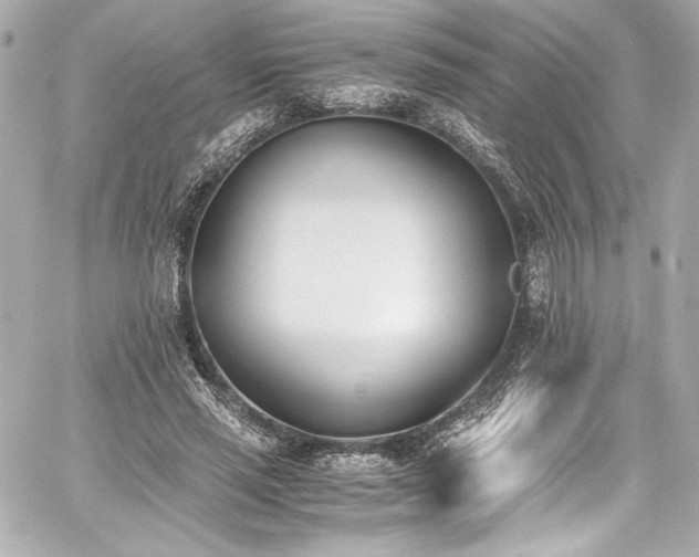 X0000060800637200511101420