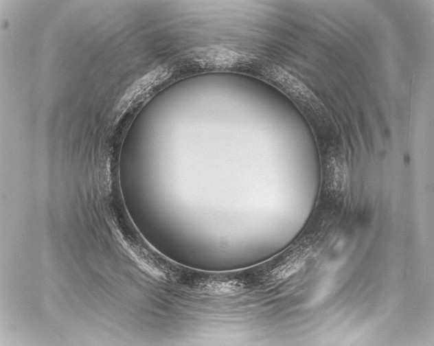 X0000060800638200511101420