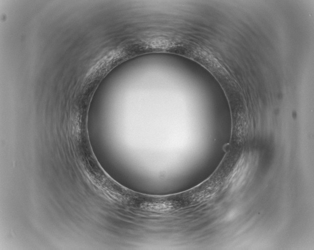 X0000060800639200511101420