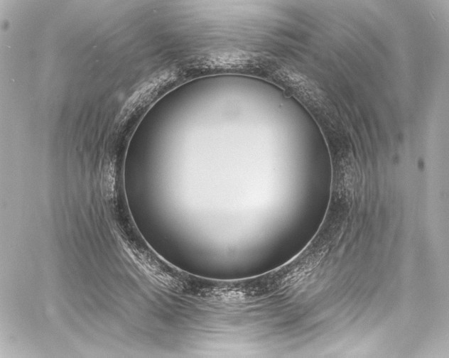 X0000060800640200511101420