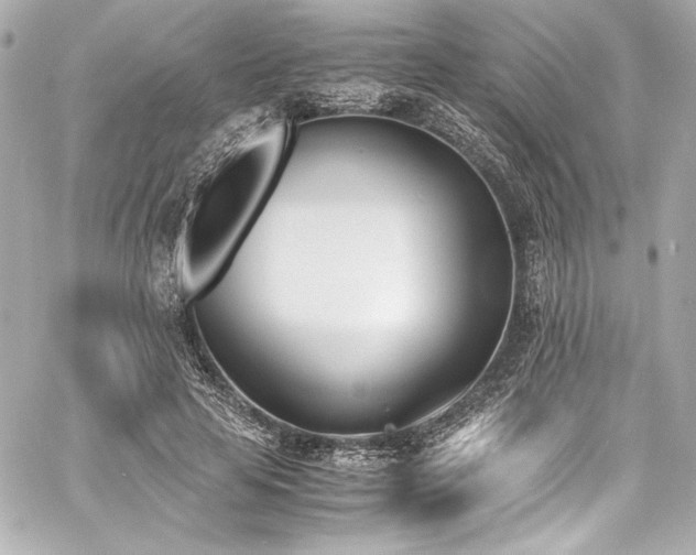 X0000060800641200511101420