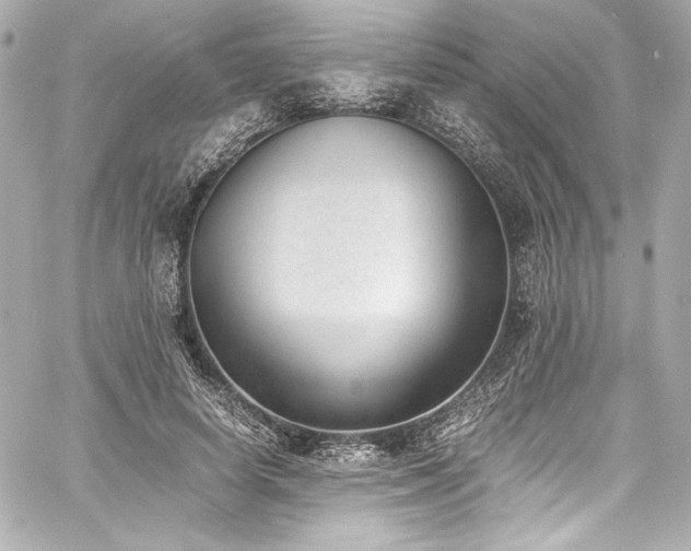 X0000060800642200511101420