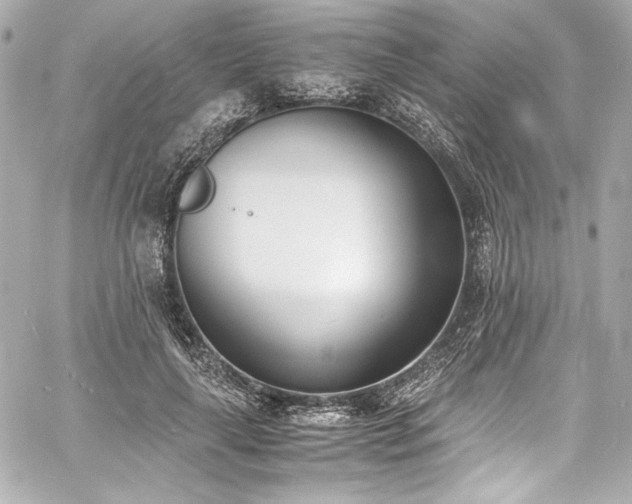 X0000060800643200511101420