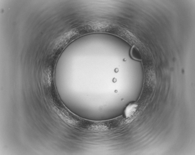 X0000060800644200511101420