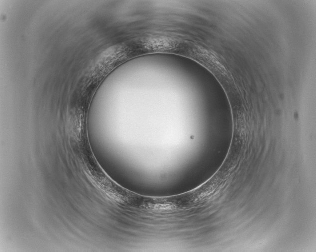 X0000060800645200511101420