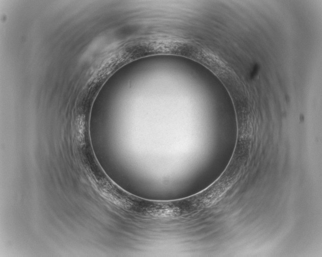 X0000060800646200511101420